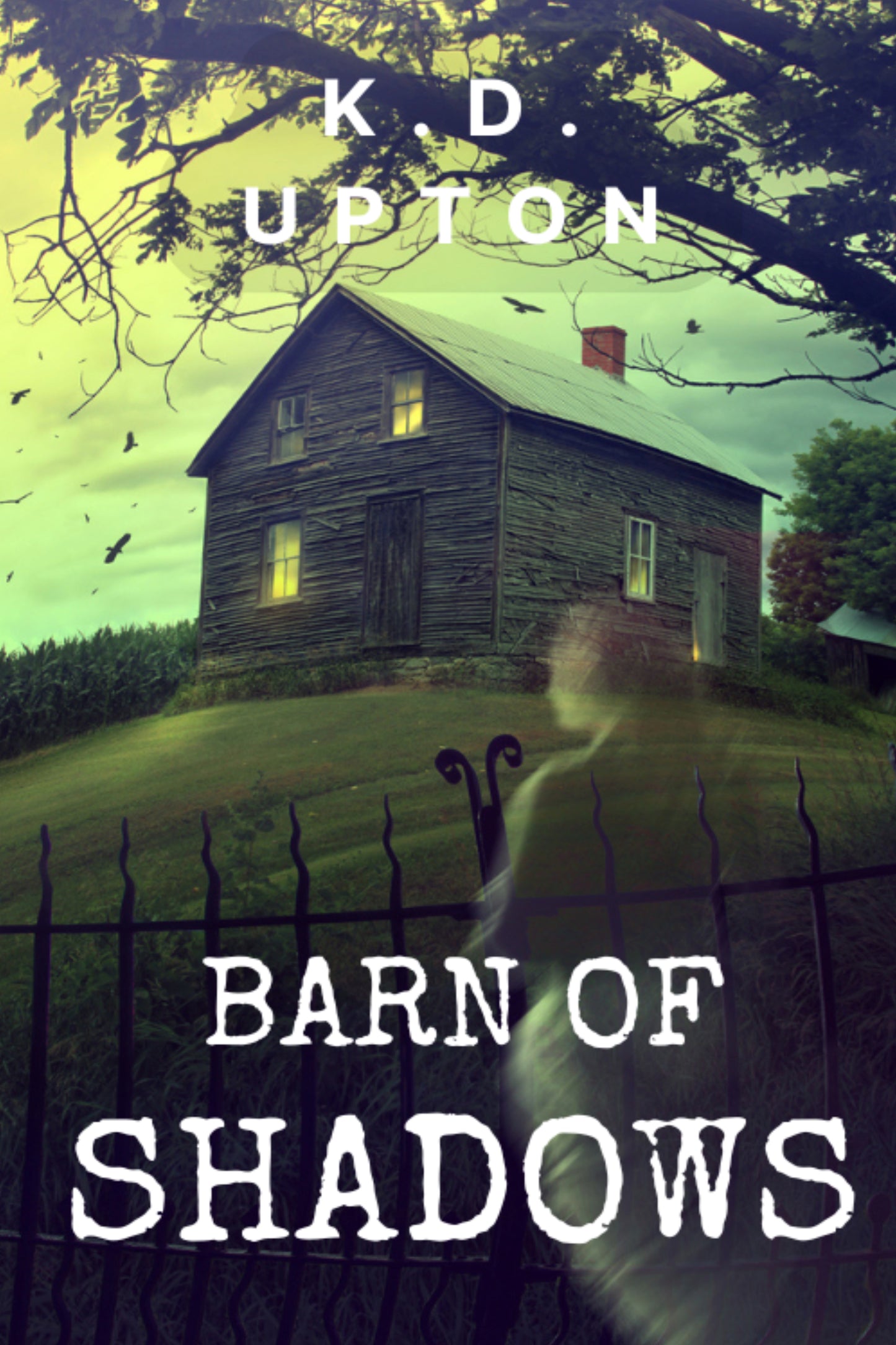 Barn of Shadows